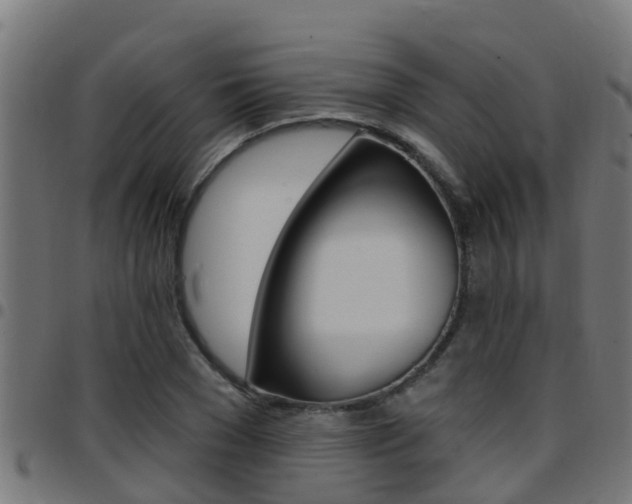 X0000097790977200803070931