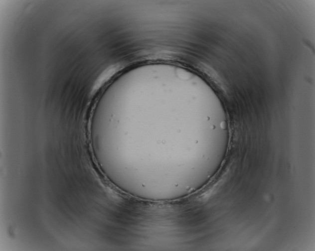 X0000097790978200803070931