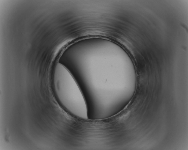 X0000097790979200803070931