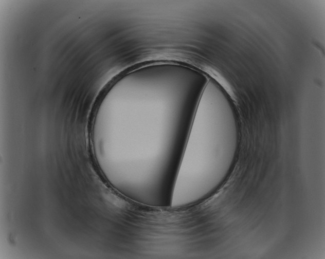 X0000097790980200803070931
