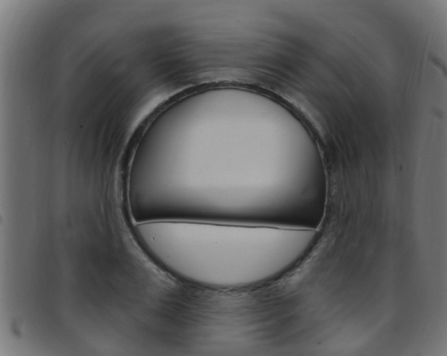 X0000097790983200803070931