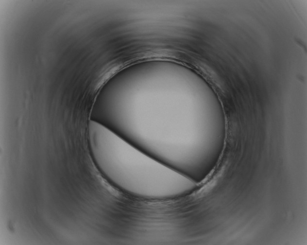 X0000097790985200803070931