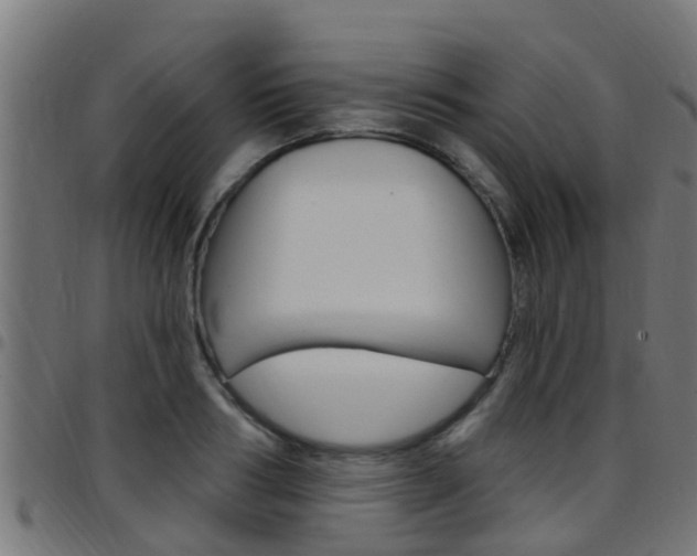 X0000097790986200803070931