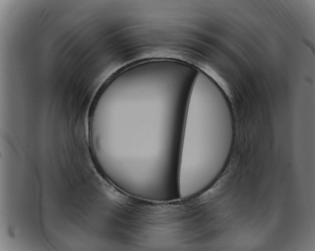 X0000097790988200803070931