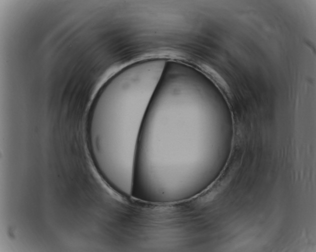 X0000097790989200803070931