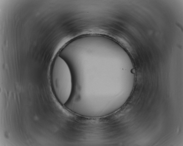 X0000097790990200803070931