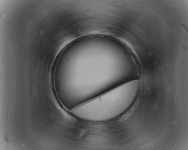 X0000097790991200803070931
