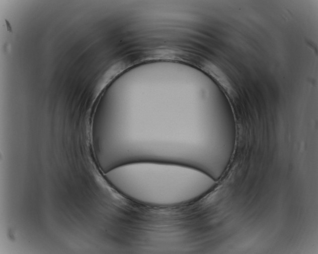 X0000097790994200803070931