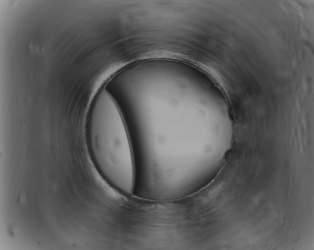 X0000097790995200803070931