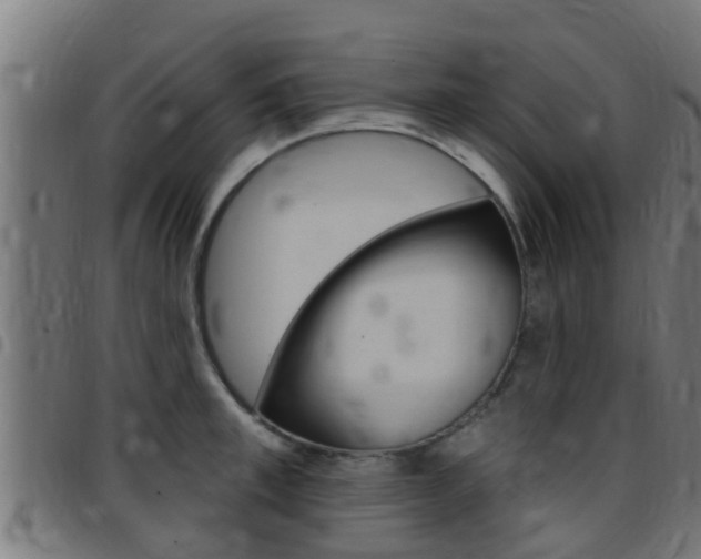 X0000097790997200803070931