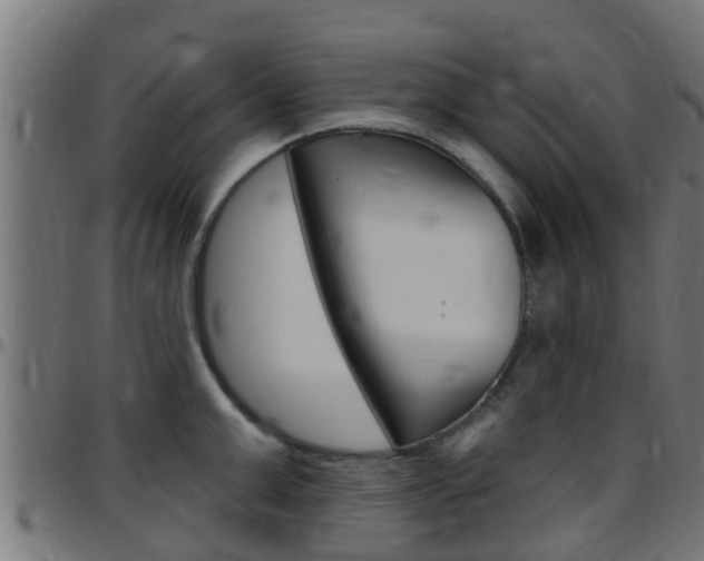 X0000097790999200803070931