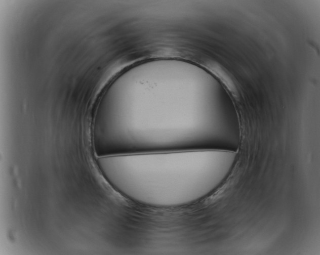 X0000097791000200803070931