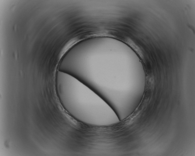 X0000097791002200803070931