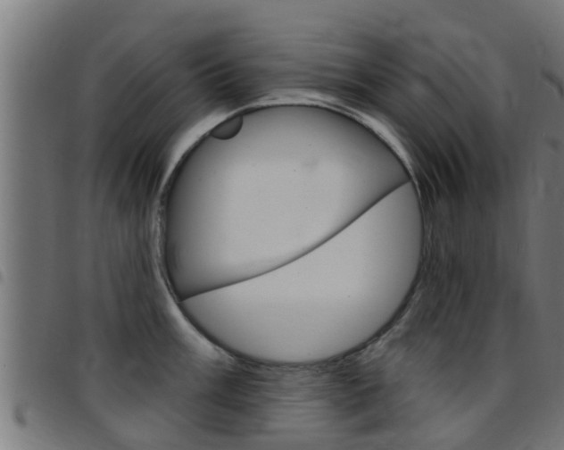 X0000097791003200803070931