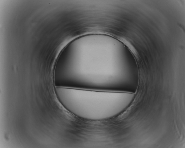X0000097791004200803070931