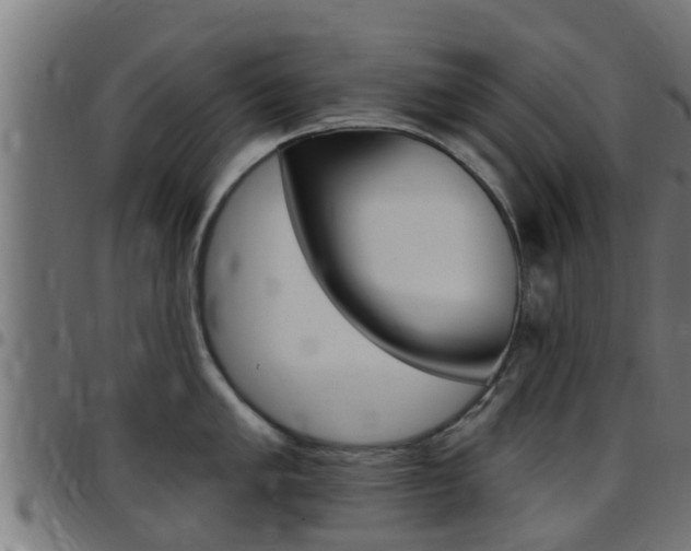 X0000097791005200803070931