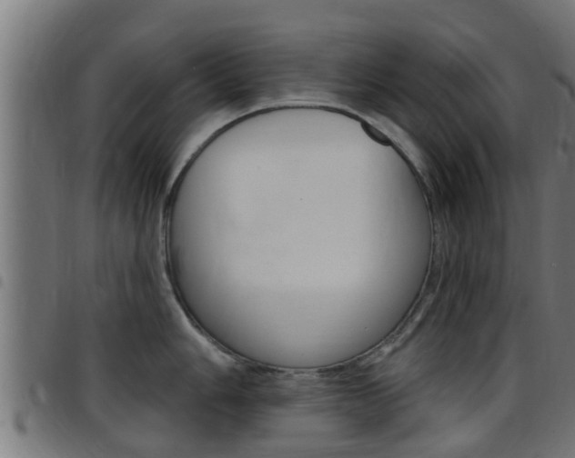 X0000097791006200803070931