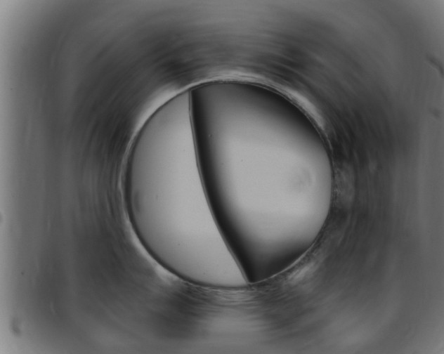 X0000097791007200803070931