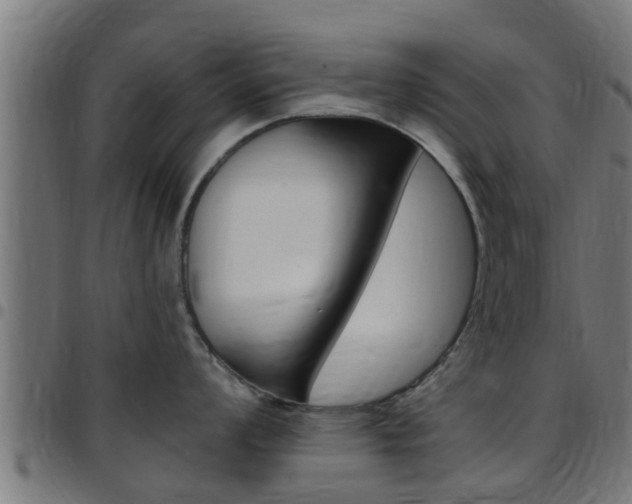 X0000097791008200803070931