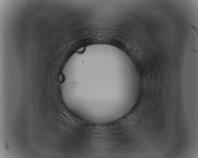 X0000097791009200803070930