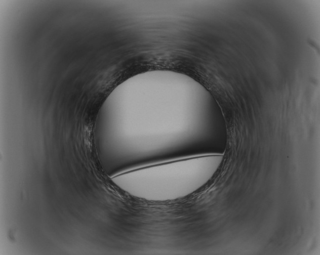 X0000097791010200803070930