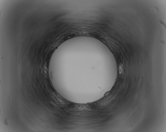 X0000097791011200803070930
