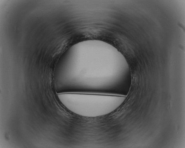 X0000097791012200803070930
