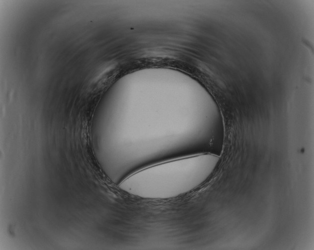 X0000097791014200803070930