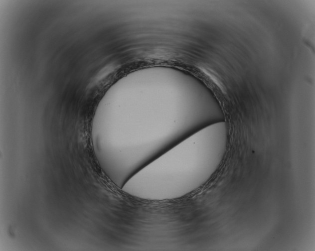 X0000097791015200803070930