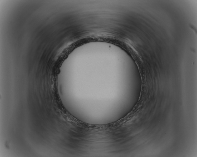 X0000097791016200803070930