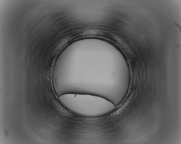 X0000097791017200803070930