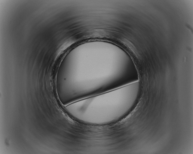 X0000097791018200803070930
