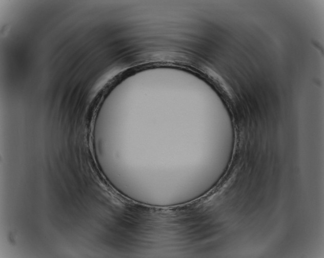 X0000097791019200803070930