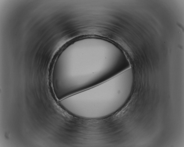 X0000097791020200803070930