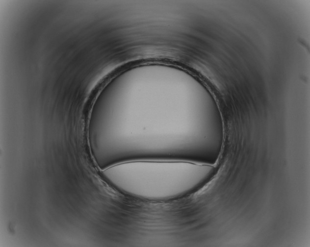 X0000097791021200803070930