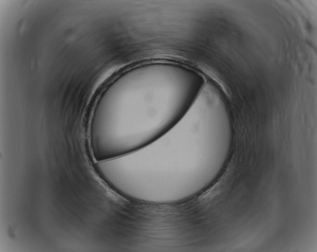 X0000097791024200803070930