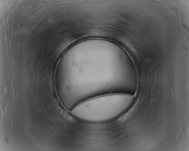 X0000097791025200803070930