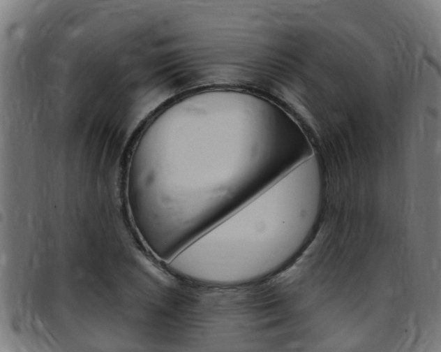 X0000097791026200803070930