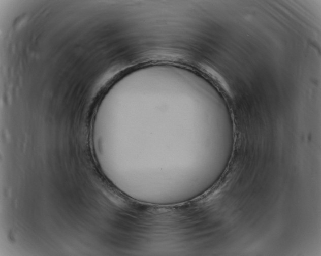 X0000097791027200803070931