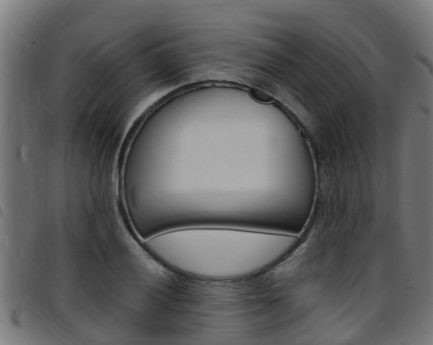 X0000097791028200803070931
