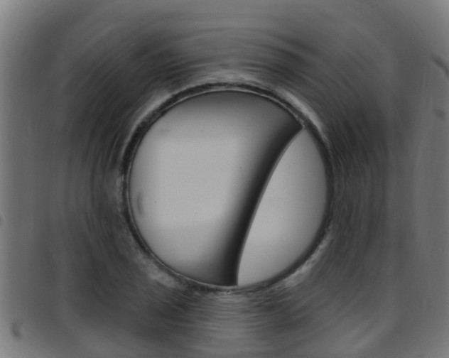 X0000097791029200803070931