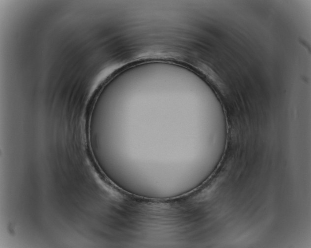 X0000097791030200803070931