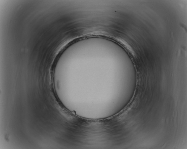 X0000097791031200803070931
