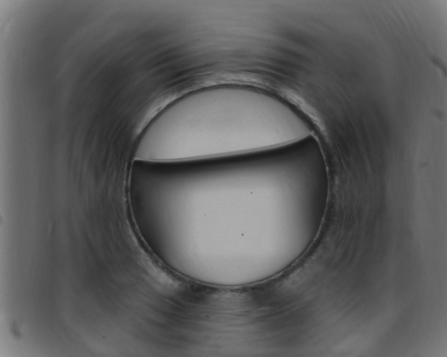 X0000097791033200803070931