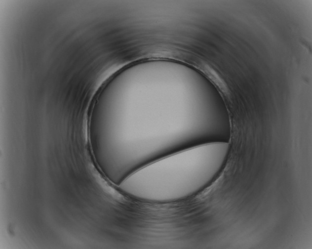 X0000097791036200803070931
