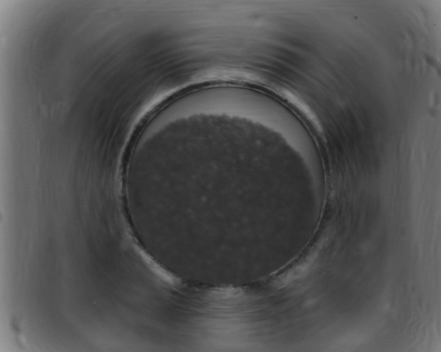X0000097791037200803070931