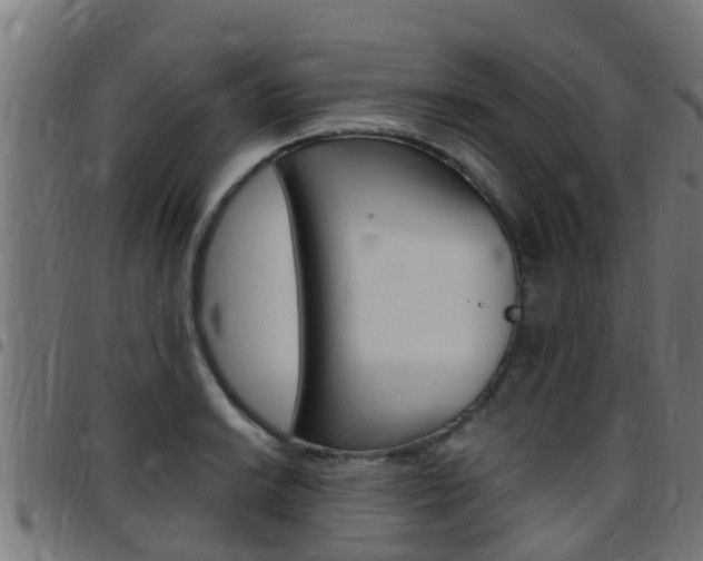 X0000097791038200803070931