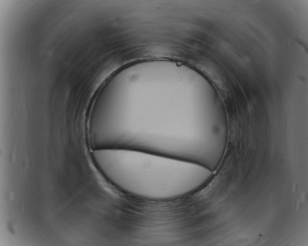 X0000097791039200803070931
