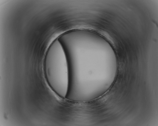 X0000097791040200803070931