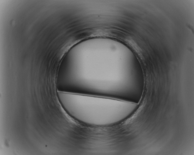 X0000097791041200803070931